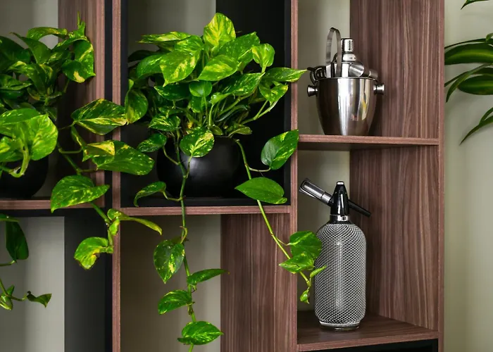 Apartamento Tlacotalpan By Mrw *